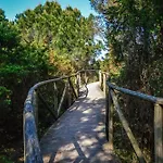 Spacious Near The Daire Rosolina Mare