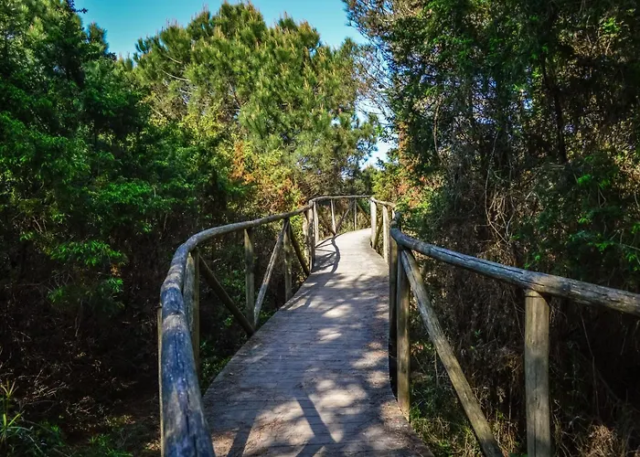 Spacious Near The Daire Rosolina Mare